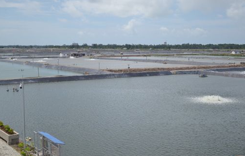 養(yǎng)殖水處理